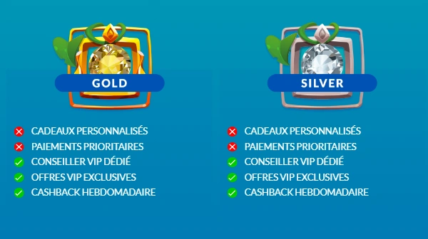 Licence et Mesures de Sécurité